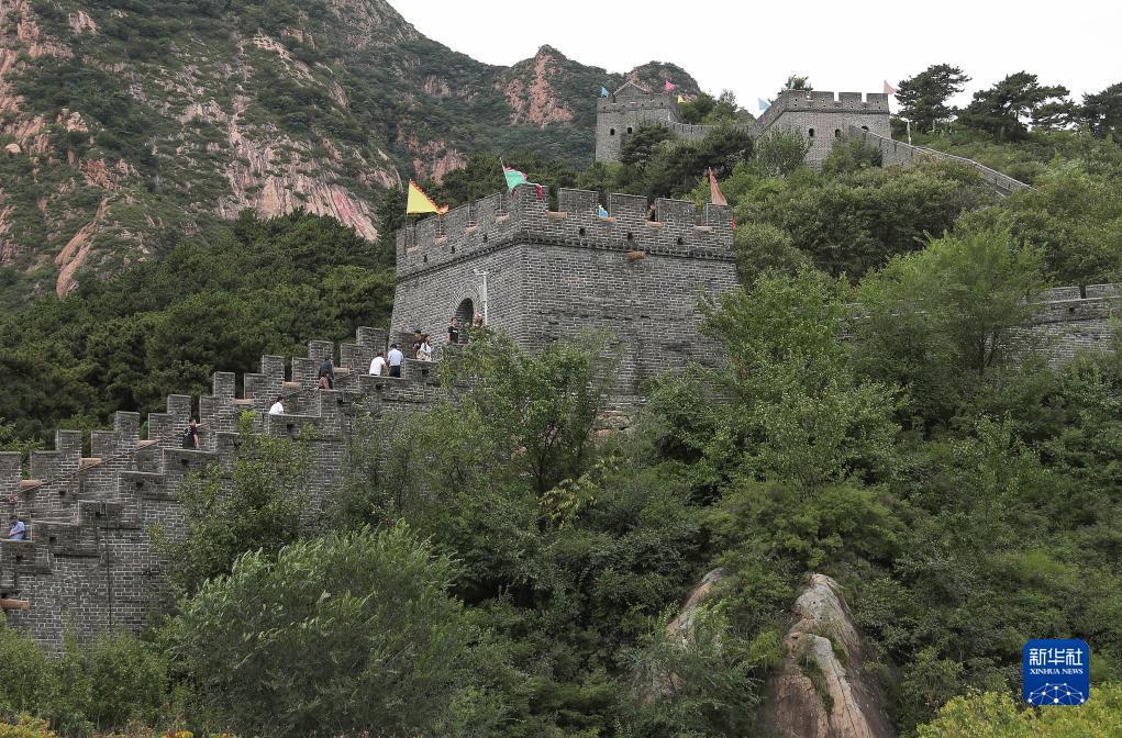 全民捕鱼下载